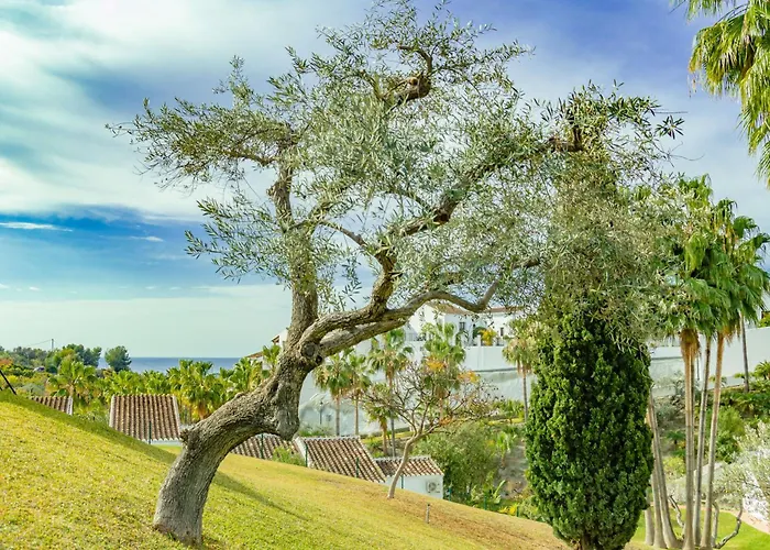 Apartament Tetuan 7 Oasis *